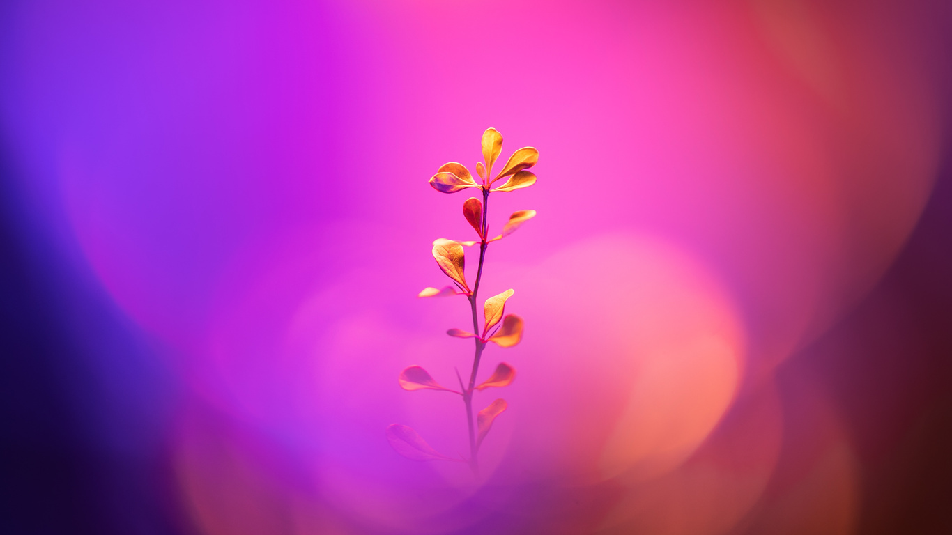 贫穷，是一种人格缺陷