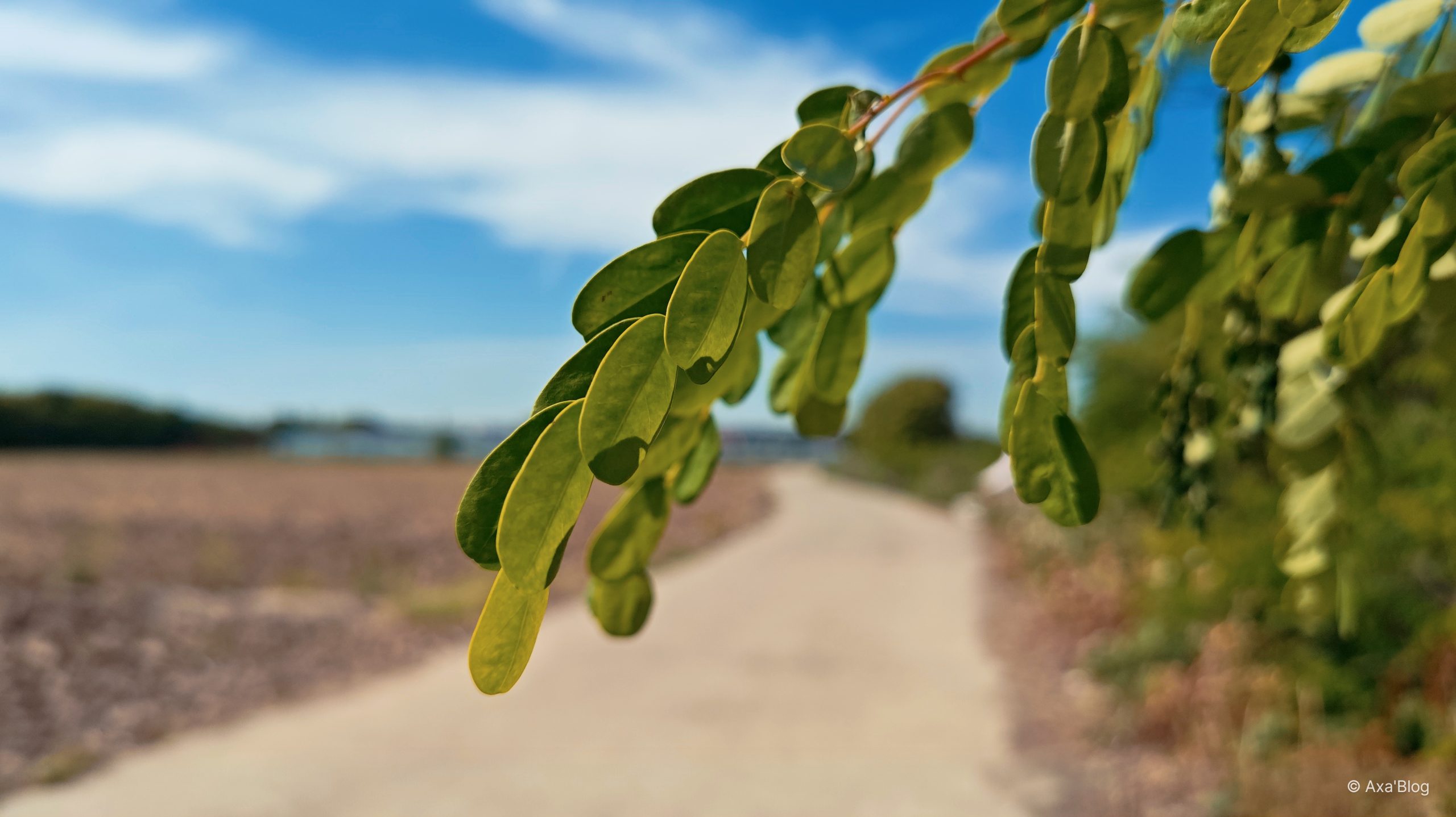 夏天的一角随拍