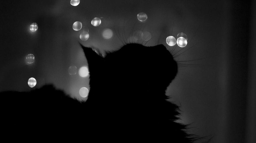 人过得好之后，会原谅很多事